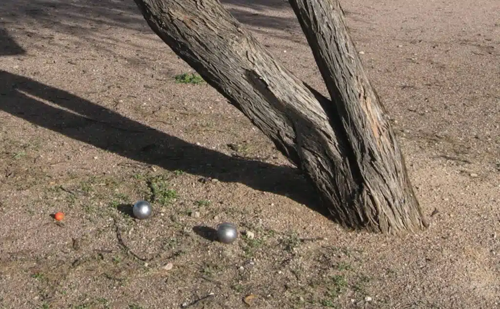 Le but et les boules de pétanque sont derrière un arbre.